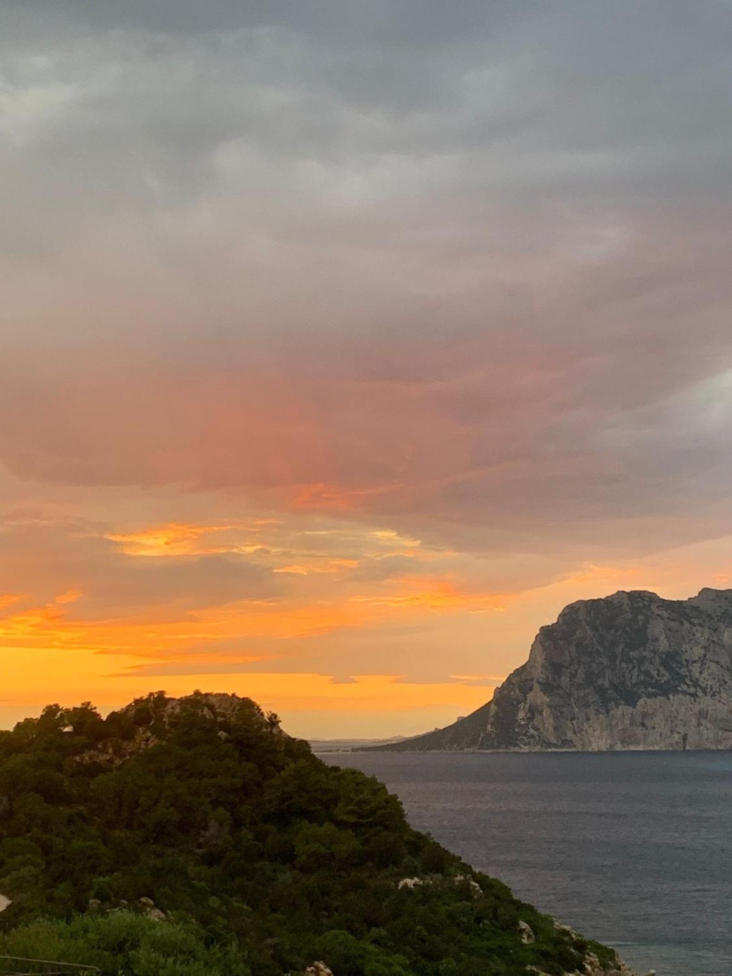 卡珀科达卡瓦洛San Teodoro Punta Est Curatissimo Bilocale公寓 外观 照片
